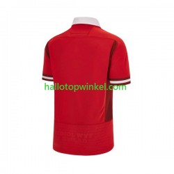Wales Rugby Heren Thuis Tenue RWC 2023 Korte Mouw
