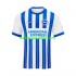 Brighton & Hove Albion Voetbalshirt Heren Thuis Tenue 2024-2025 Korte Mouw