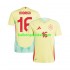 Spanje Voetbalshirt RODRIGO 16 Heren Uit Tenue Euro 2024 Korte Mouw