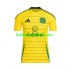 Celtic Voetbalshirt Heren Uit Tenue 2024-2025 Korte Mouw