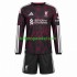 Liverpool Voetbalshirt Kleuters/Kids Derde Tenue 2026-2027 Lange Mouw