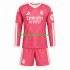 Real Madrid Voetbalshirt Kleuters/Kids Derde Tenue 2026-2027 Lange Mouw