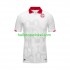 Tunesië Voetbalshirt Heren Uit Tenue 2023-2024 Korte Mouw
