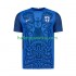 Finland Voetbalshirt Heren Uit Tenue 2025 Korte Mouw