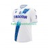 Voetbalshirt AJ Auxerre Heren Thuis Tenue 2024-2025 Korte Mouw
