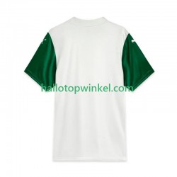 Palmeiras Voetbalshirt Heren Uit Tenue 2025 Korte Mouw