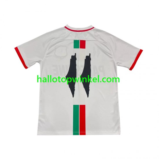Club Deportivo Palestino Voetbalshirt Center Stripre Heren Uit Tenue 2024-2025 Korte Mouw