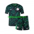 Nigeria Voetbalshirt Kleuters/Kids Uit Tenue 2024 Korte Mouw