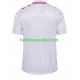 Denemarken Voetbalshirt Heren Uit Tenue Euro 2024 Korte Mouw