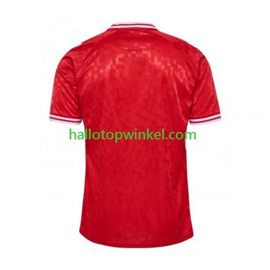 Denemarken Voetbalshirt Heren Thuis Tenue Euro 2024 Korte Mouw
