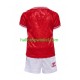 Denemarken Voetbalshirt Kleuters/Kids Thuis Tenue Euro 2024 Korte Mouw