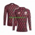 Mexico Voetbalshirt Copa America 2024  Heren Thuis Tenue  Lange Mouw