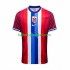 Noorwegen Voetbalshirt Heren Thuis Tenue 2024 Korte Mouw