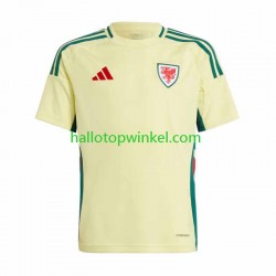 Wales Voetbalshirt Heren Uit Tenue 2024 Korte Mouw