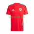 Wales Voetbalshirt Heren Thuis Tenue 2024 Korte Mouw
