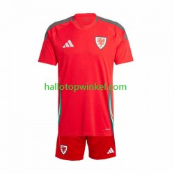 Wales Voetbalshirt Kleuters/Kids Thuis Tenue 2024 Korte Mouw