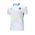 Bosnië Herzegovina Voetbalshirt Heren Uit Tenue 2023 Korte Mouw