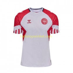 Denemarken Voetbalshirt Heren Uit Tenue 2023 Korte Mouw