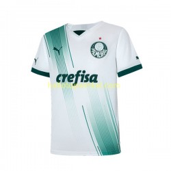Palmeiras Voetbalshirt Heren Uit Tenue 2023-2024 Korte Mouw