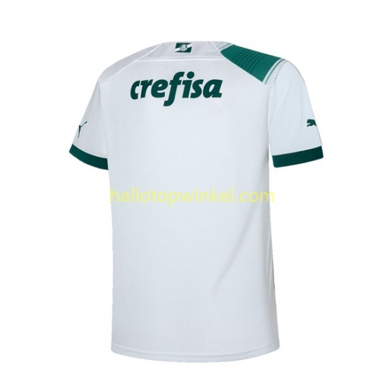 Palmeiras Voetbalshirt Heren Uit Tenue 2023-2024 Korte Mouw