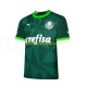 Palmeiras Voetbalshirt Heren Thuis Tenue 2023-2024 Korte Mouw