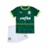 Palmeiras Voetbalshirt Kleuters/Kids Thuis Tenue 2023-2024 Korte Mouw
