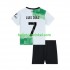 Liverpool Voetbalshirt Luis Diaz 7 Kleuters/Kids Uit Tenue 2023-2024 Korte Mouw
