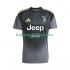 Juventus Voetbalshirt Doelman Heren Uit Tenue 2025-2026 Korte Mouw
