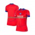 Paris Saint-Germain Voetbalshirt Dames Derde Tenue 2025-2026 Korte Mouw