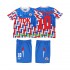 AFC Ajax Voetbalshirt BERGKAMP 10 1989 1990 Retro Kleuters/Kids Uit Tenue Lange Mouw