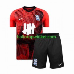 Birmingham City Voetbalshirt Kleuters/Kids Uit Tenue 2023-2024 Korte Mouw