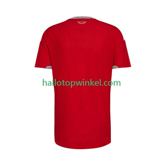 Wales Voetbalshirt Heren Thuis Tenue 2026 Korte Mouw