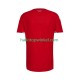 Wales Voetbalshirt Heren Thuis Tenue 2026 Korte Mouw