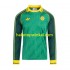 Celtic Voetbalshirt Special Heren Thuis Tenue 2024 Lange Mouw