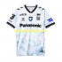 Voetbalshirt Gamba Osaka Heren Uit Tenue 2024 Korte Mouw