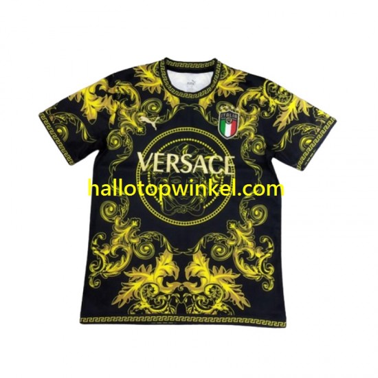 Italië Voetbalshirt Special Heren 2024 Korte Mouw