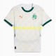 Ivoorkust Voetbalshirt Heren Uit Tenue 2025 Korte Mouw