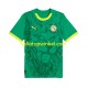 Senegal Voetbalshirt Heren Uit Tenue 2025 Korte Mouw