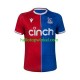 Crystal Palace Voetbalshirt Heren Thuis Tenue 2023-2024 Korte Mouw
