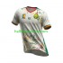Kameroen Voetbalshirt Heren Uit Tenue 2026 Korte Mouw