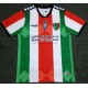 Club Deportivo Palestino Voetbalshirt Thuis Tenue 2021 Korte Mouw