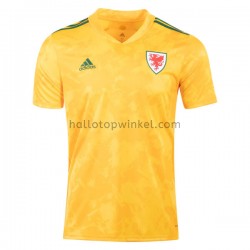 Wales Voetbalshirt Uit Tenue EK 2020 Korte Mouw