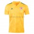 Wales Voetbalshirt Uit Tenue EK 2020 Korte Mouw