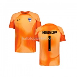 Finland Voetbalshirt HRADECKY 1 Doelman Heren Thuis Tenue 2022-2023 Korte Mouw