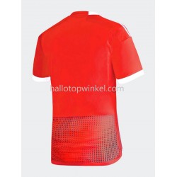 Peru Voetbalshirt Heren Uit Tenue 2023 Korte Mouw