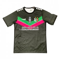 Club Deportivo Palestino Voetbalshirt Uit Tenue 2022-2023 Korte Mouw