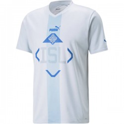 IJsland Voetbalshirt Uit Tenue 2022 Korte Mouw