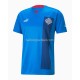 IJsland Voetbalshirt Thuis Tenue 2022 Korte Mouw