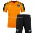 Ierland Voetbalshirt Kleuters/Kids Uit Tenue 2022 Korte Mouw