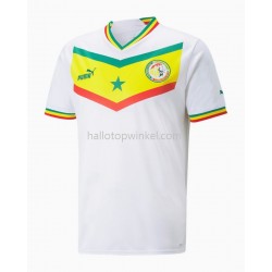Senegal Voetbalshirt Thuis Tenue WK 2022 Korte Mouw